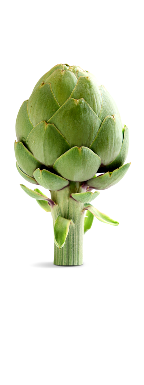 alcachofa en portada