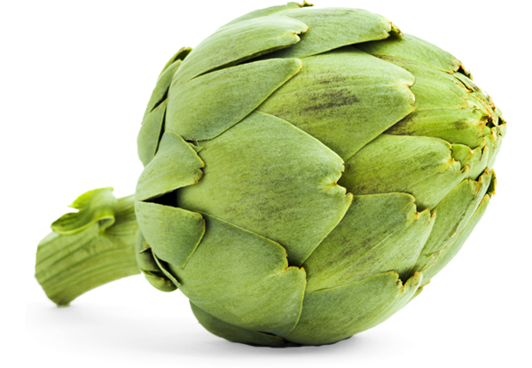 alcachofa_producto