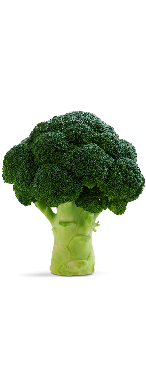 brocoli en portada