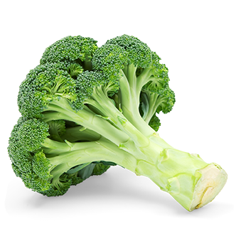 brocoli home pequeña