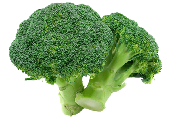 brocoli_producto
