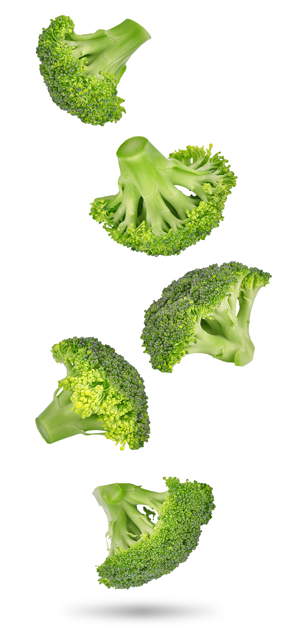 brocoli_valores_nutricionales
