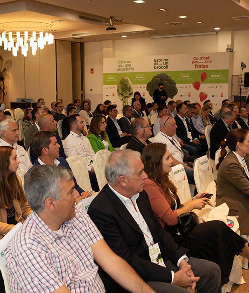 presentacion portada 1