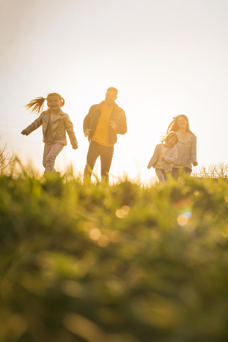 Broccoli plantation organic farm