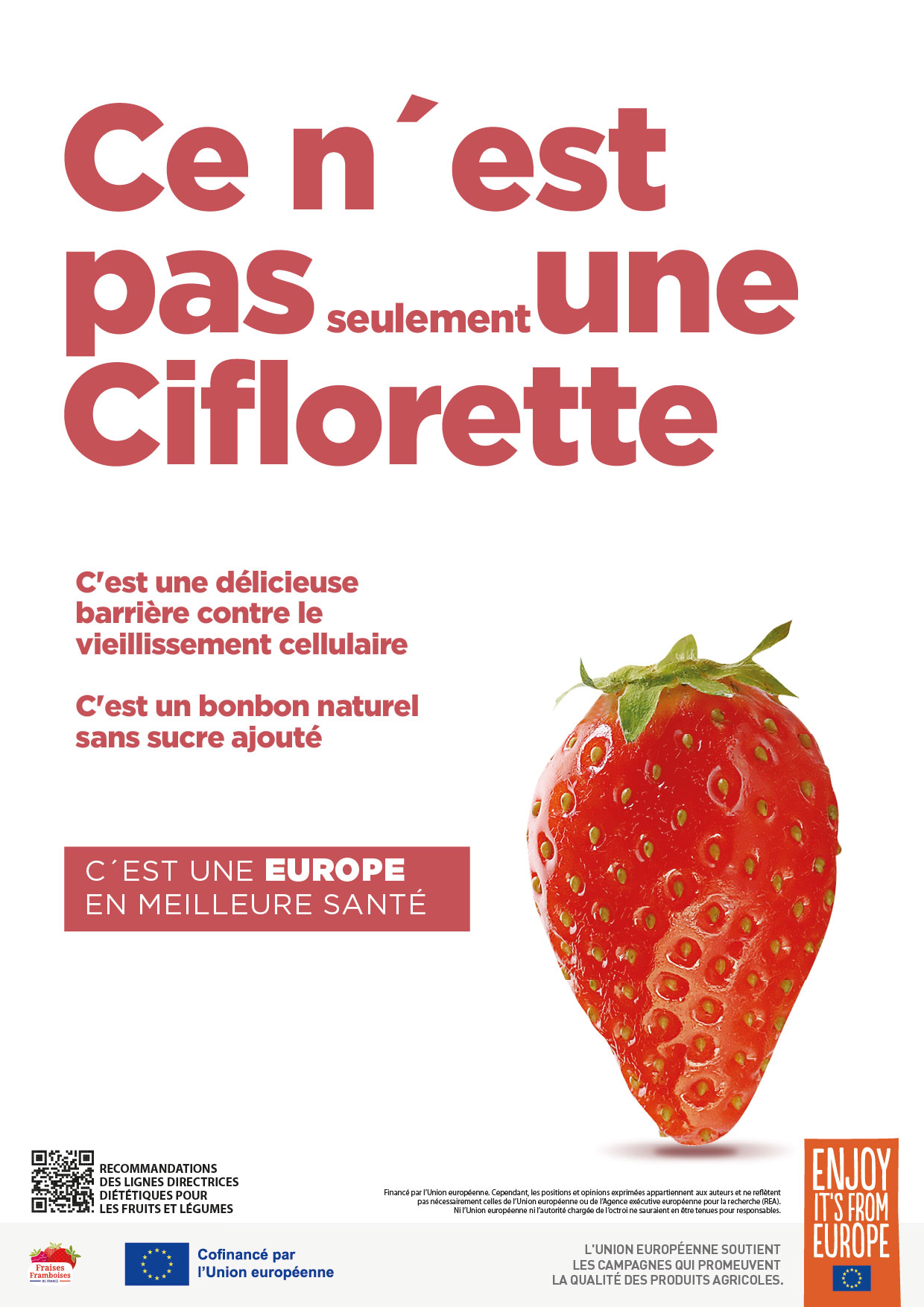 ciflorette_fr