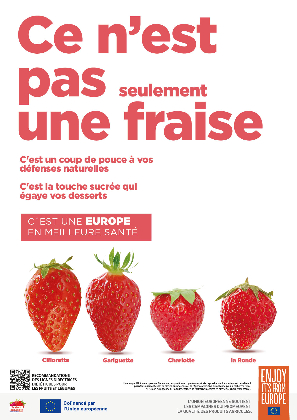 generica_fresas_fr